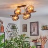 Koyoto ceiling light, globe light gold, black, 8-light sources