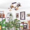 Koyoto ceiling light, globe light gold, black, 8-light sources