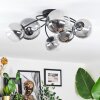 Chehalis ceiling light, globe light clear, Smoke-coloured, 6-light sources