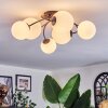 Chehalis ceiling light, globe light white, 6-light sources