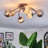 Chehalis ceiling light, globe light Amber, Smoke-coloured, 6-light sources