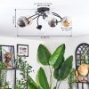 Chehalis ceiling light, globe light 56 cm Amber, clear, Smoke-coloured, 6-light sources