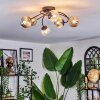 Chehalis ceiling light, globe light 56 cm Amber, clear, Smoke-coloured, 6-light sources