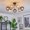 Koyoto ceiling light, globe light Amber, clear, Smoke-coloured, 7-light sources