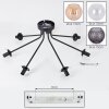 Koyoto ceiling light, globe light Amber, clear, Smoke-coloured, 7-light sources