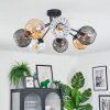 Koyoto ceiling light, globe light Amber, clear, Smoke-coloured, 7-light sources