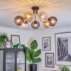 Koyoto ceiling light, globe light Amber, clear, Smoke-coloured, 7-light sources