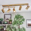 Javel ceiling light, ceiling spotlight gold, 5-light sources