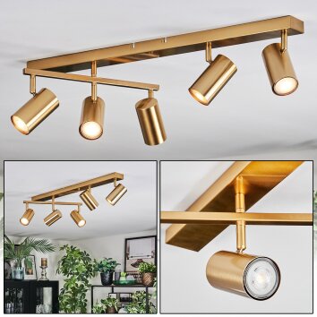 Javel ceiling light, ceiling spotlight gold, 5-light sources