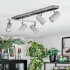 Javel ceiling light, ceiling spotlight chrome, grey, black, 5-light sources