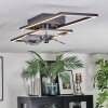 Hyacinthe ceiling light, Ceiling fan light LED chrome, black, 1-light source, Remote control