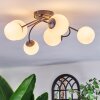 Chehalis ceiling light, globe light white, 6-light sources