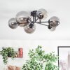 Chehalis ceiling light, globe light 20 cm Smoke-coloured, 6-light sources