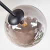 Chehalis ceiling light, globe light 20 cm Smoke-coloured, 6-light sources