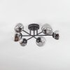 Chehalis ceiling light, globe light 18 cm clear, Smoke-coloured, 6-light sources