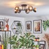 Chehalis ceiling light, globe light 18 cm clear, Smoke-coloured, 6-light sources