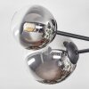 Chehalis ceiling light, globe light clear, Smoke-coloured, 6-light sources