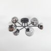 Chehalis ceiling light, globe light clear, Smoke-coloured, 6-light sources