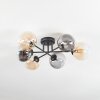 Chehalis ceiling light, globe light Amber, clear, Smoke-coloured, 6-light sources