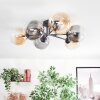 Chehalis ceiling light, globe light Amber, clear, Smoke-coloured, 6-light sources