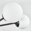 Chehalis ceiling light, globe light white, 6-light sources
