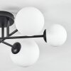 Chehalis ceiling light, globe light white, 6-light sources