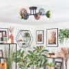 Chehalis ceiling light, globe light blue, green, clear, coppery, 6-light sources
