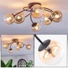 Chehalis ceiling light, globe light Amber, clear, 6-light sources