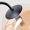 Chehalis ceiling light, globe light 64 cm Amber, clear, Smoke-coloured, 6-light sources