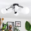 Chehalis ceiling light, globe light 60 cm white, 6-light sources