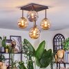 Chehalis ceiling light, globe light Amber, Smoke-coloured, 5-light sources