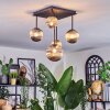 Chehalis ceiling light, globe light Smoke-coloured, 5-light sources