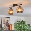 Ripoll ceiling light, globe light Smoke-coloured, 2-light sources