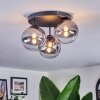 Chehalis ceiling light, globe light 34 cm clear, Smoke-coloured, 3-light sources