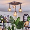 Chehalis ceiling light, globe light Amber, Smoke-coloured, 5-light sources