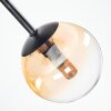 Chehalis ceiling light, globe light Amber, clear, Smoke-coloured, 5-light sources