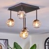 Chehalis ceiling light, globe light Amber, clear, Smoke-coloured, 5-light sources