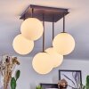 Chehalis ceiling light, globe light white, 5-light sources