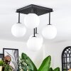 Chehalis ceiling light, globe light white, 5-light sources