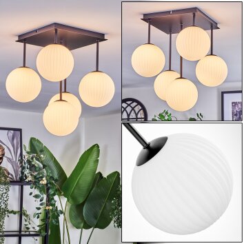 Chehalis ceiling light, globe light white, 5-light sources