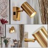 Javel wall light, wall spotlight gold, 1-light source