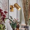 Javel wall light, wall spotlight gold, 1-light source