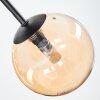 Chehalis ceiling light, globe light Amber, Smoke-coloured, 5-light sources