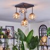 Chehalis ceiling light, globe light Amber, clear, Smoke-coloured, 5-light sources
