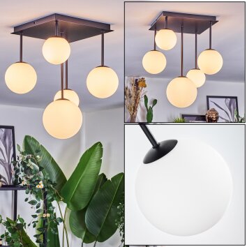 Chehalis ceiling light, globe light white, 5-light sources