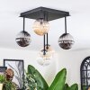 Chehalis ceiling light, globe light Amber, clear, Smoke-coloured, 5-light sources