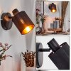Fallhagen wall light, wall spotlight black, 1-light source