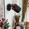 Fallhagen wall light, wall spotlight black, 1-light source