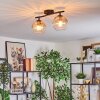 Koyoto ceiling light, globe light Amber, clear, 2-light sources
