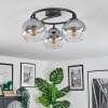Koyoto ceiling light, globe light 37 cm clear, Smoke-coloured, 3-light sources